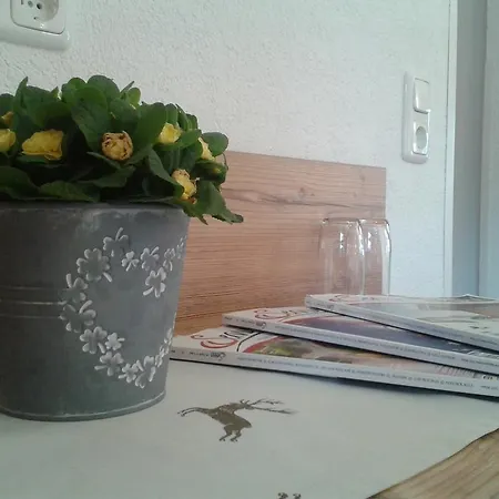 Guest house Alpenhof