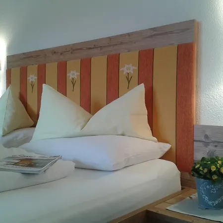 Alpenhof Guest house Lermoos