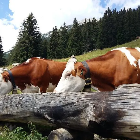 Alpenhof 3*
